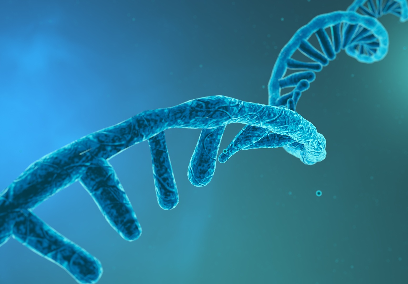 От чего RNA VERUM™?