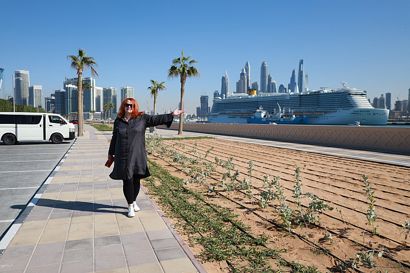 Verum Global в Dubai.